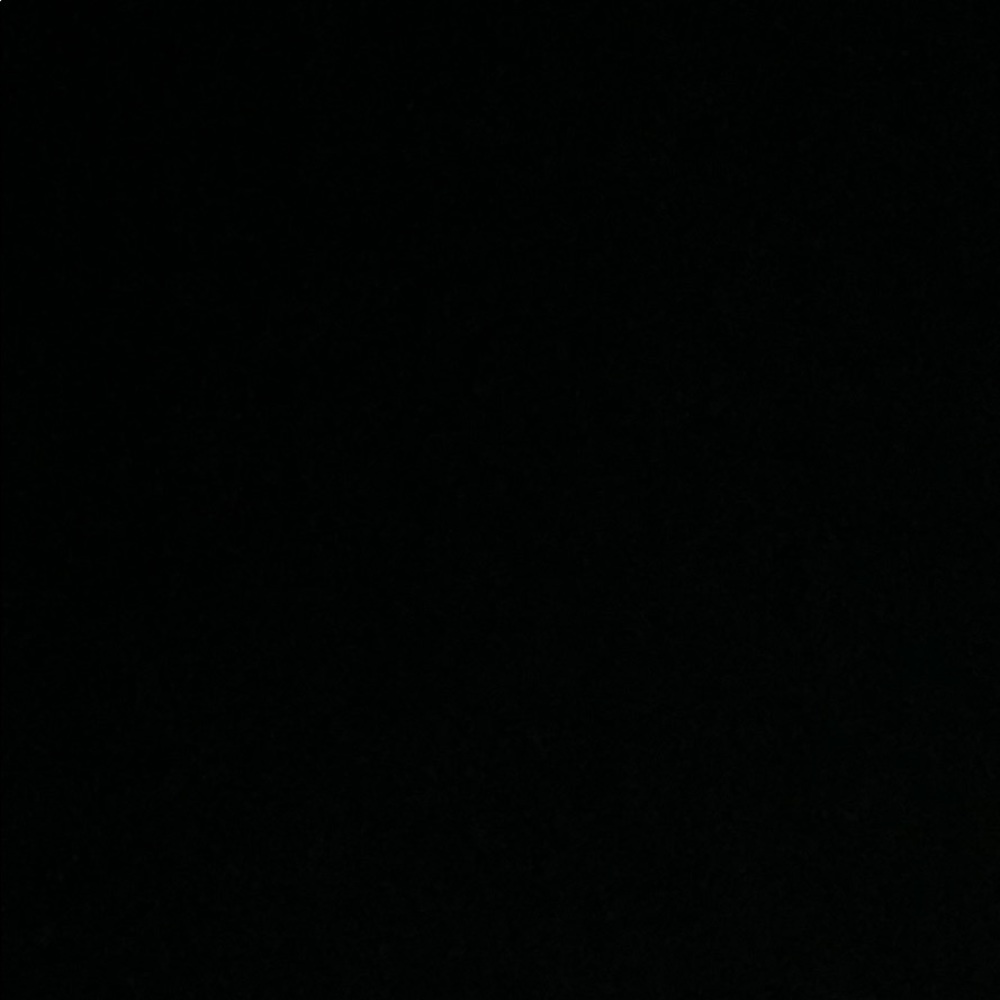 Meet your Posher, Bailey